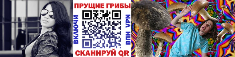 Псилоцибиновые грибы Psilocybine cubensis  Инсар 
